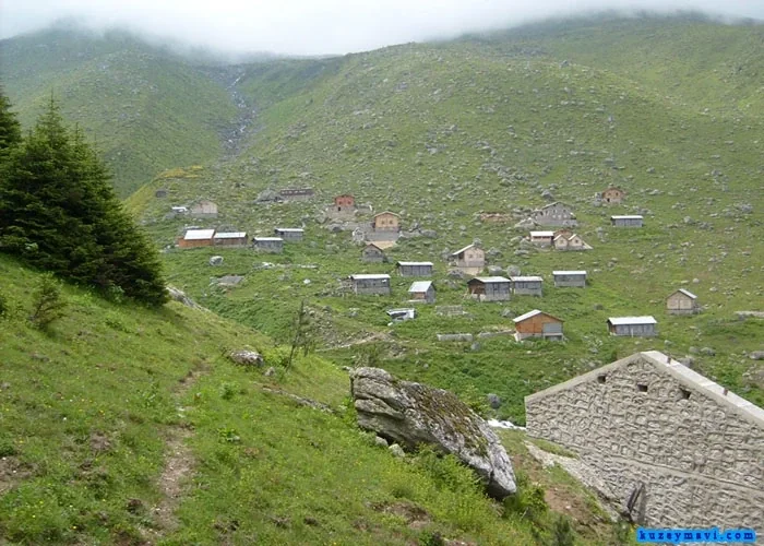 Ambarlı Yaylası Rize fotoğrafı 4