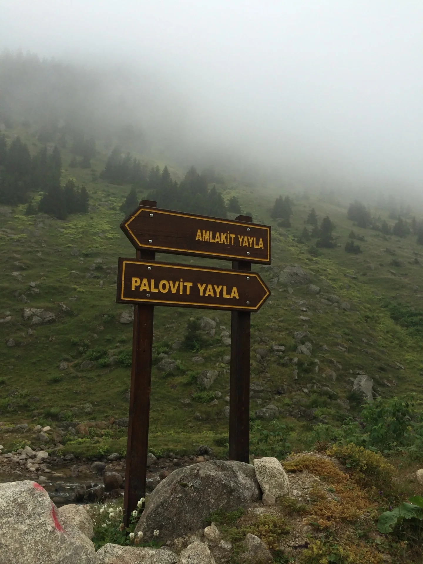 Amlakit Yaylası Rize yayla manzarası