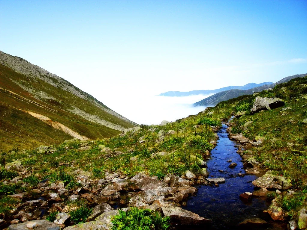 Amlakit Yaylası Rize fotoğrafı 2