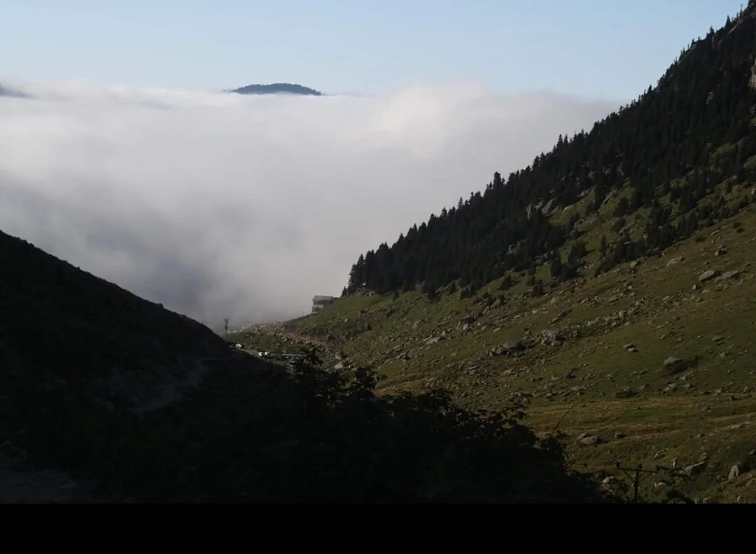 Amlakit Yaylası Rize fotoğrafı 4