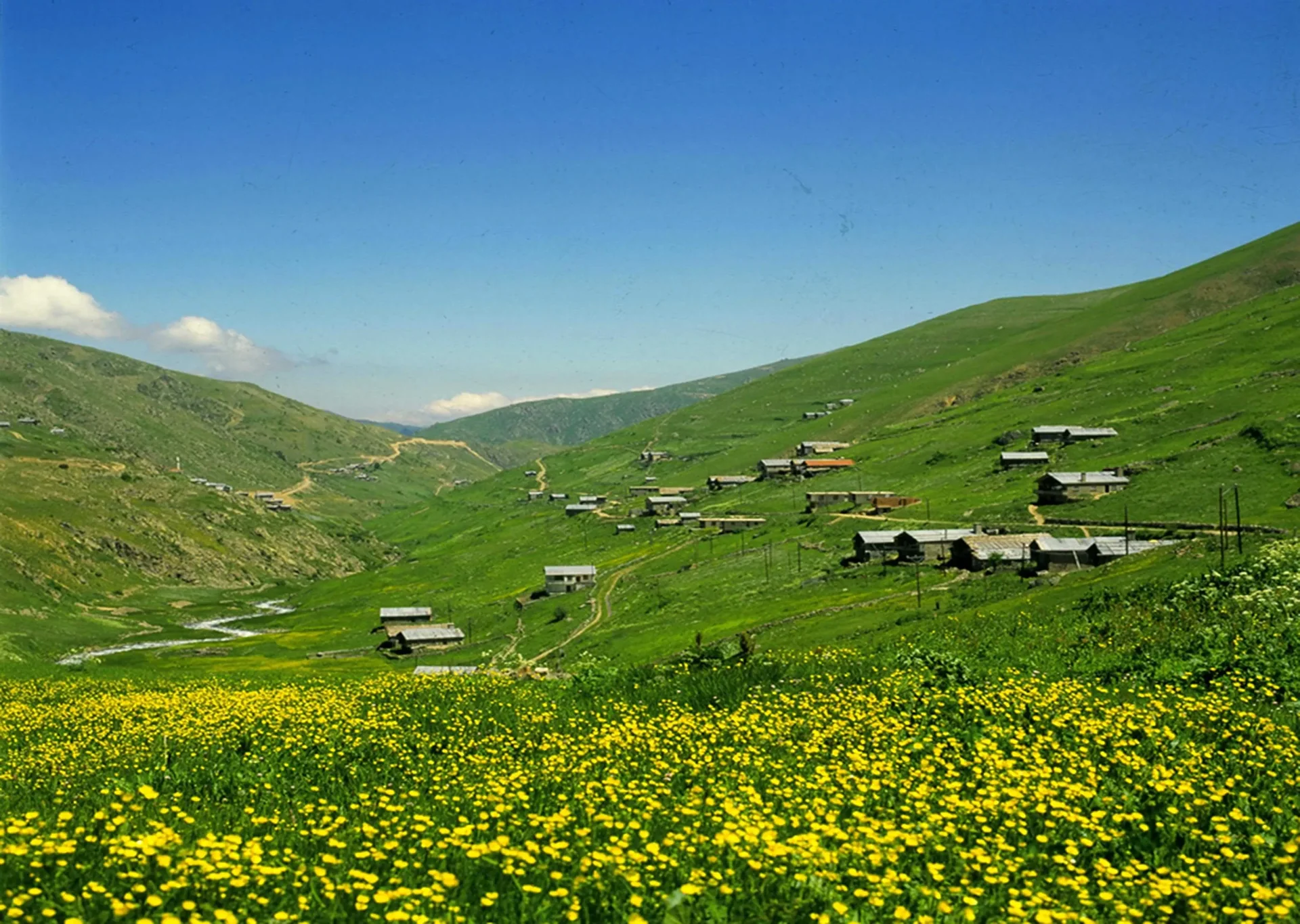 Anzer–Ballıköy Yaylası Rize fotoğrafı 2