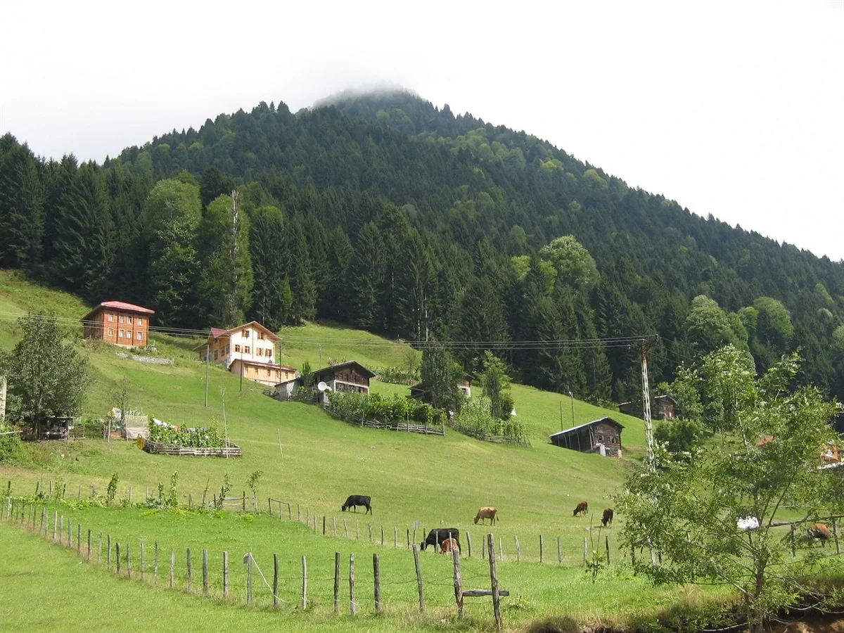 Ayder Yaylası Rize fotoğrafı 3