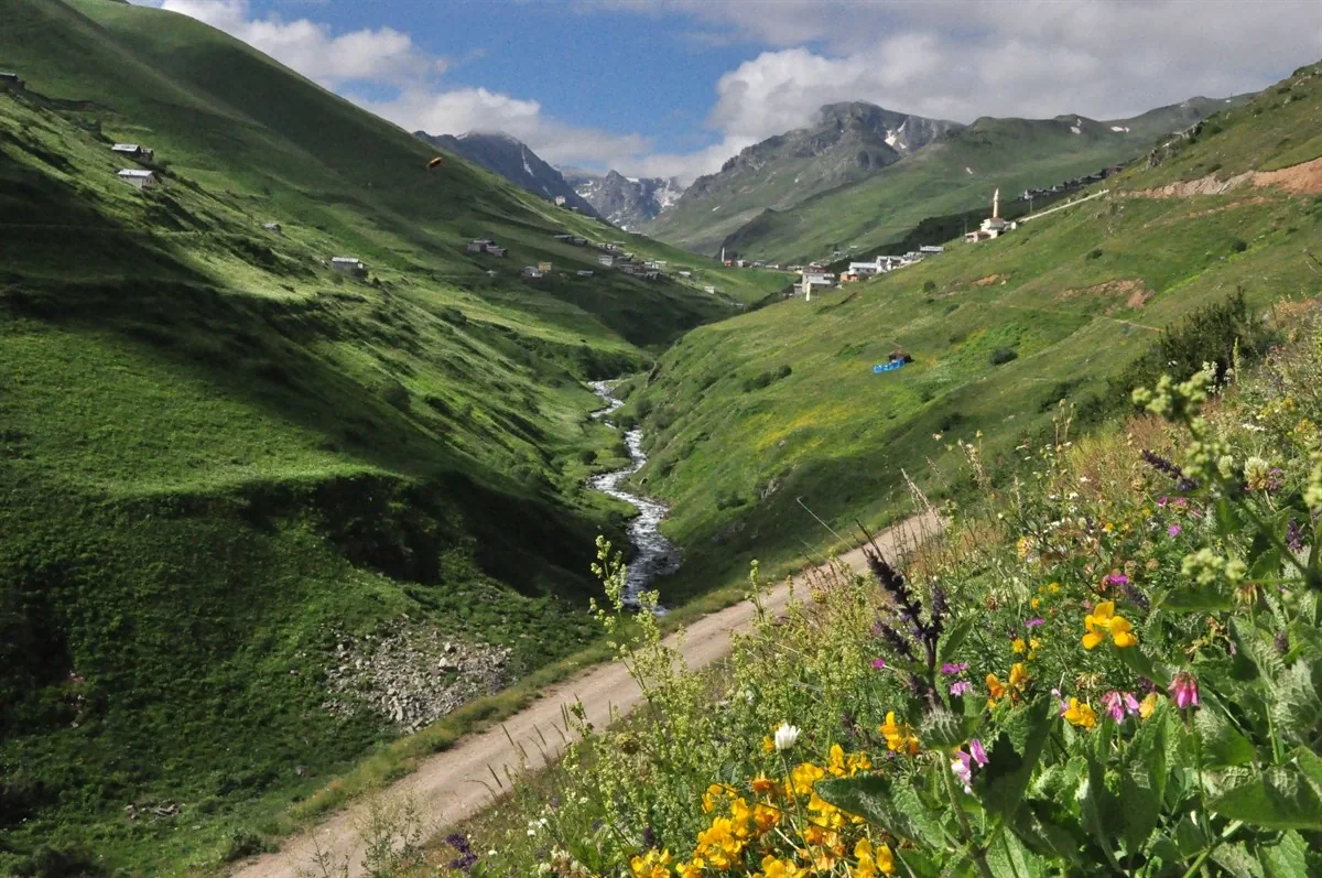 Çağırankaya Yaylası Rize fotoğrafı 3