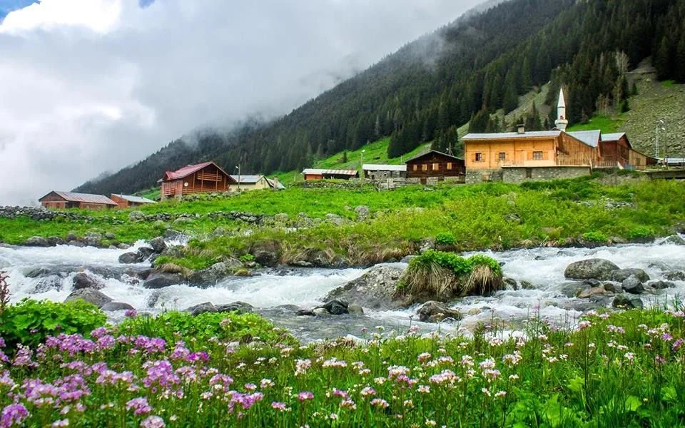 Elevit Yaylası Rize yayla manzarası
