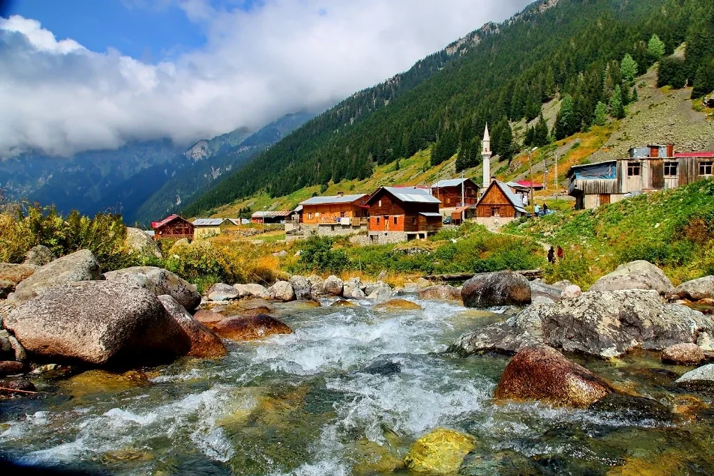 Elevit Yaylası Rize fotoğrafı 3