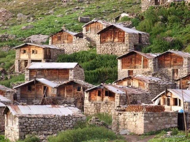 Golezana Yaylası Rize yayla manzarası