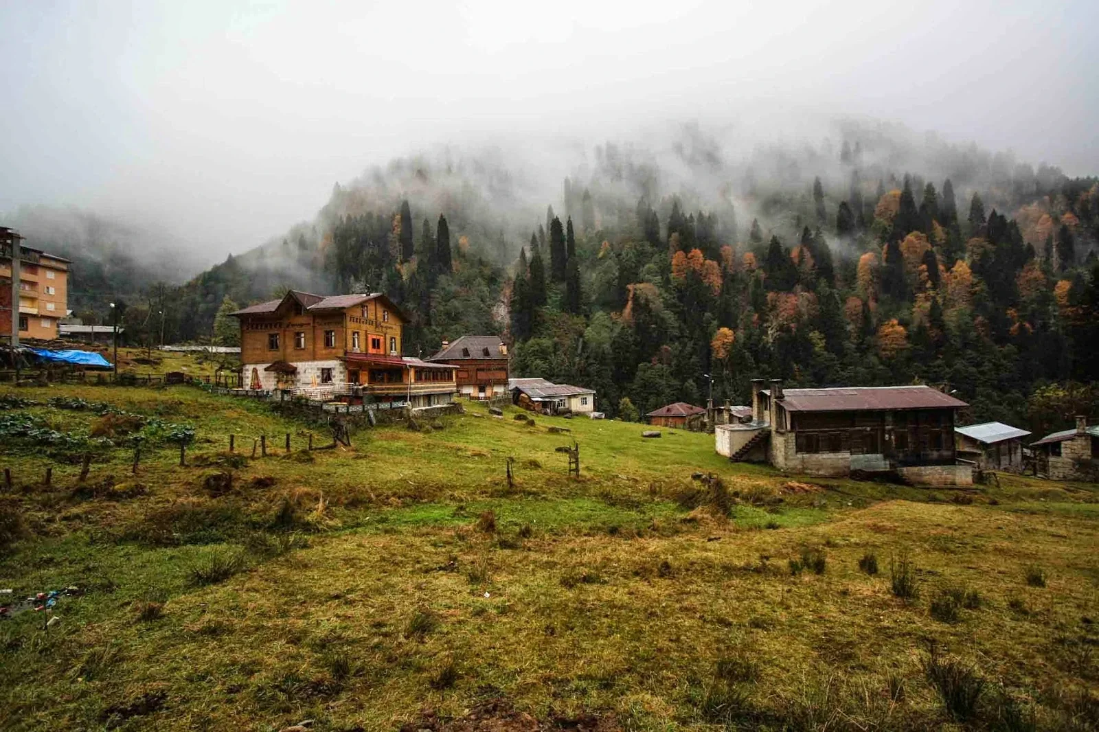 Hacıvanak Yaylası Rize yayla manzarası