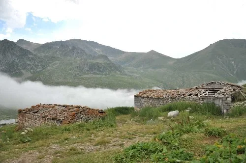 Hacıvanak Yaylası Rize fotoğrafı 2