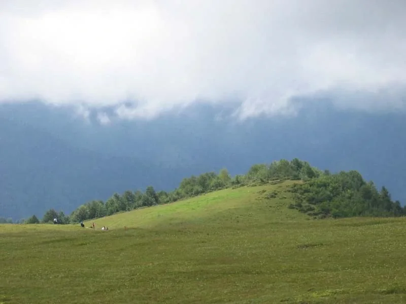 Handüzü Yaylası Rize yayla manzarası
