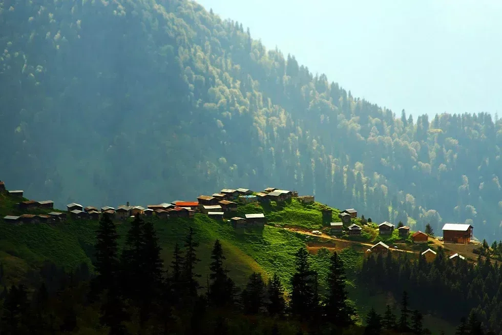Hazindağ Yaylası Rize fotoğrafı 2