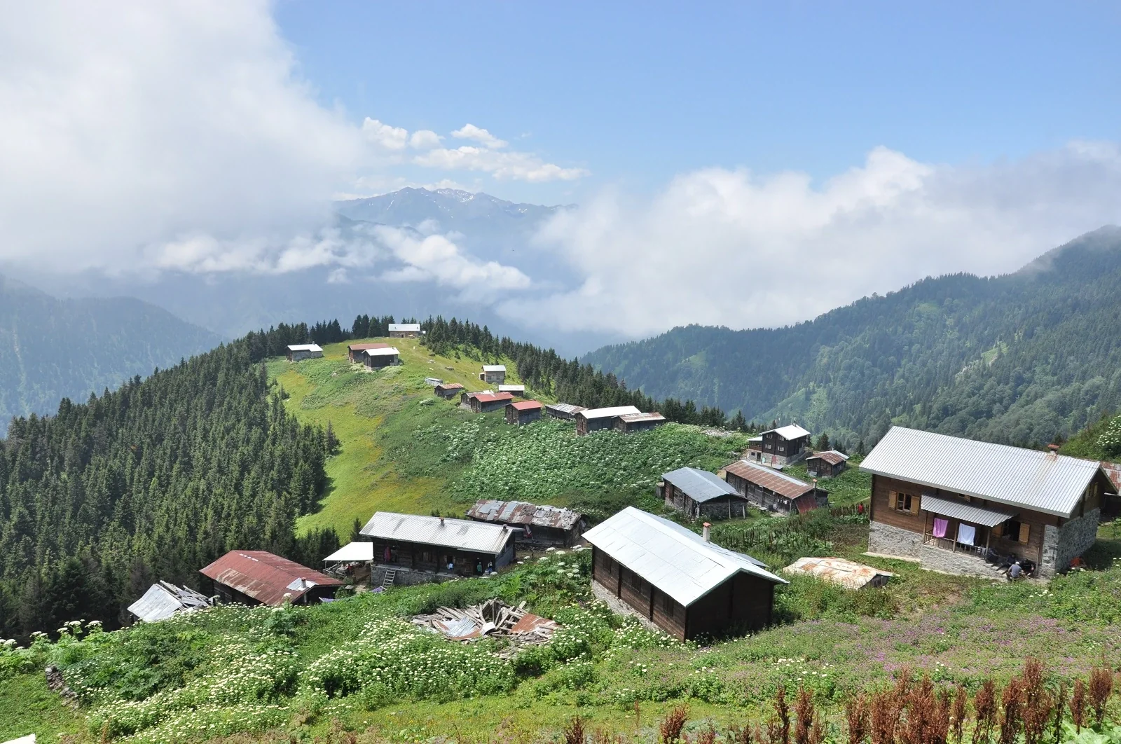 Hazindağ Yaylası Rize fotoğrafı 3