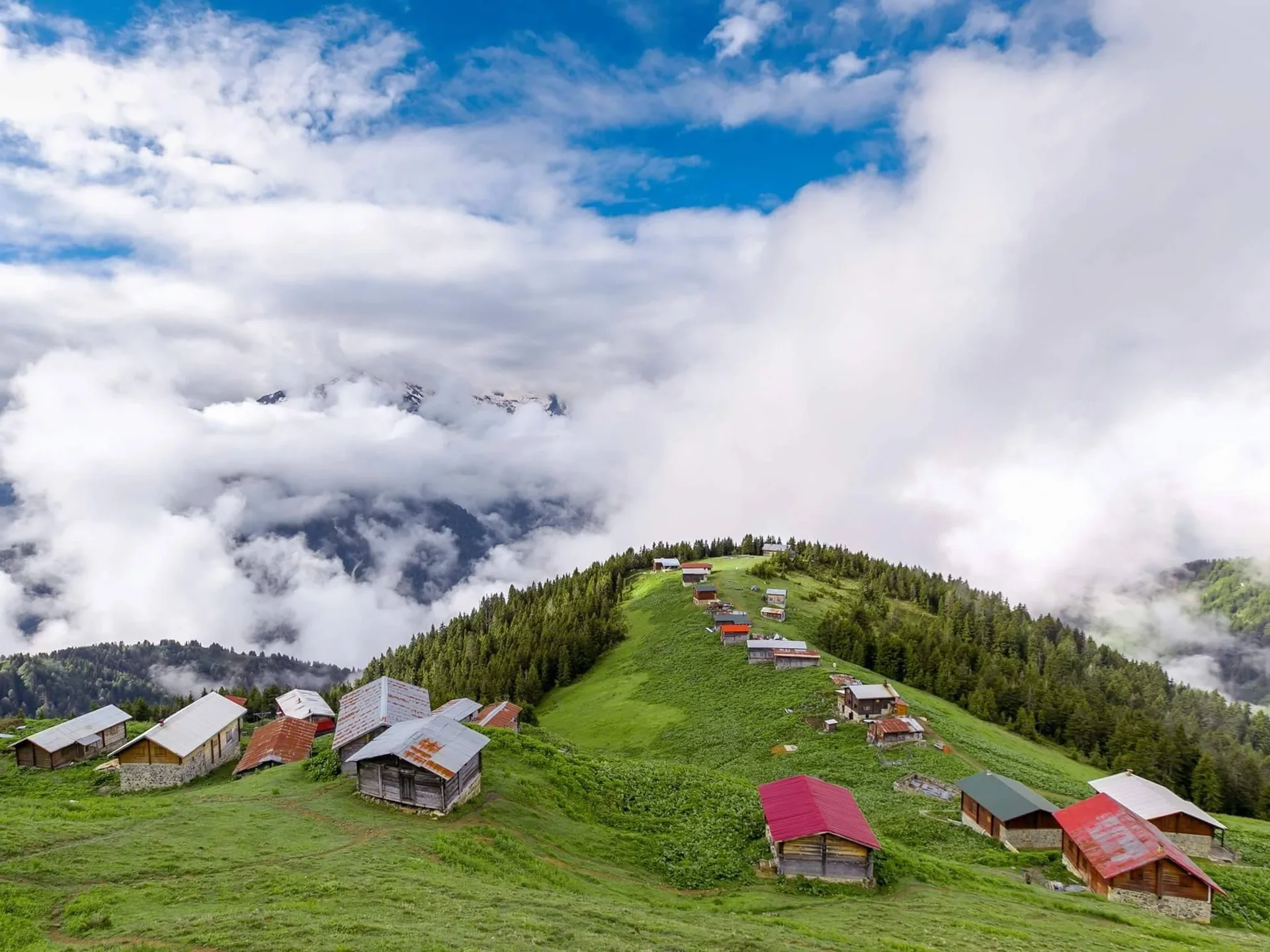 Hazindağ Yaylası Rize fotoğrafı 4