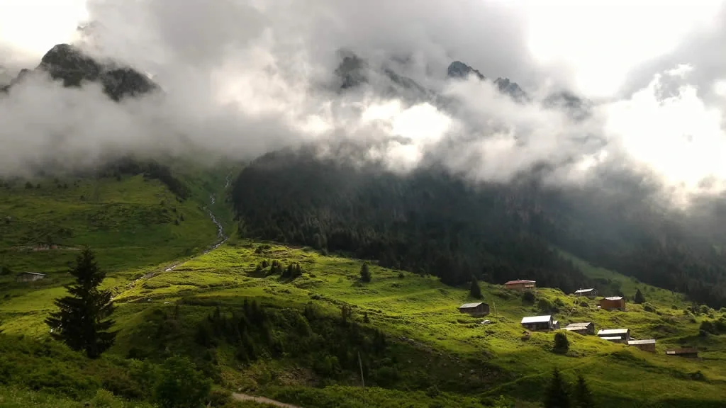 Aşağı ve Yukarı Kavron Yaylaları Rize yayla manzarası