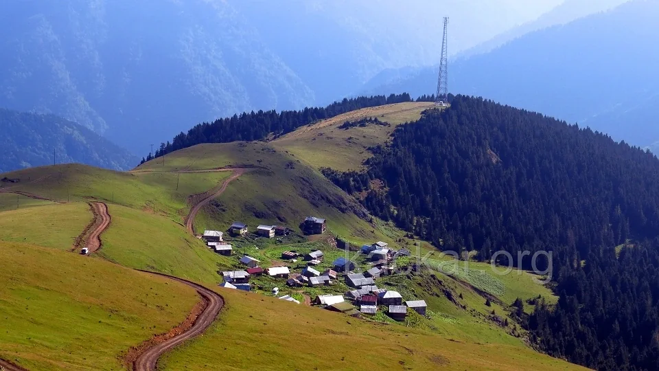 Kito Yaylası Rize fotoğrafı 4