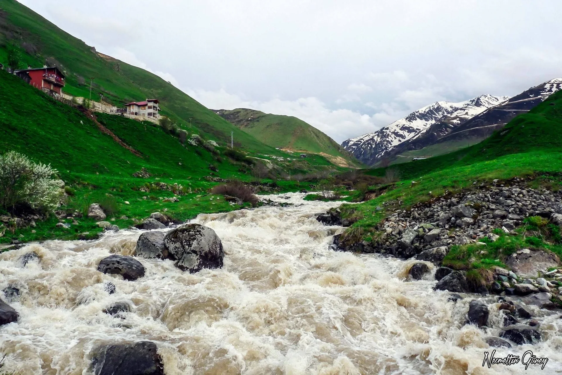 Ovit Yaylası Rize yayla manzarası