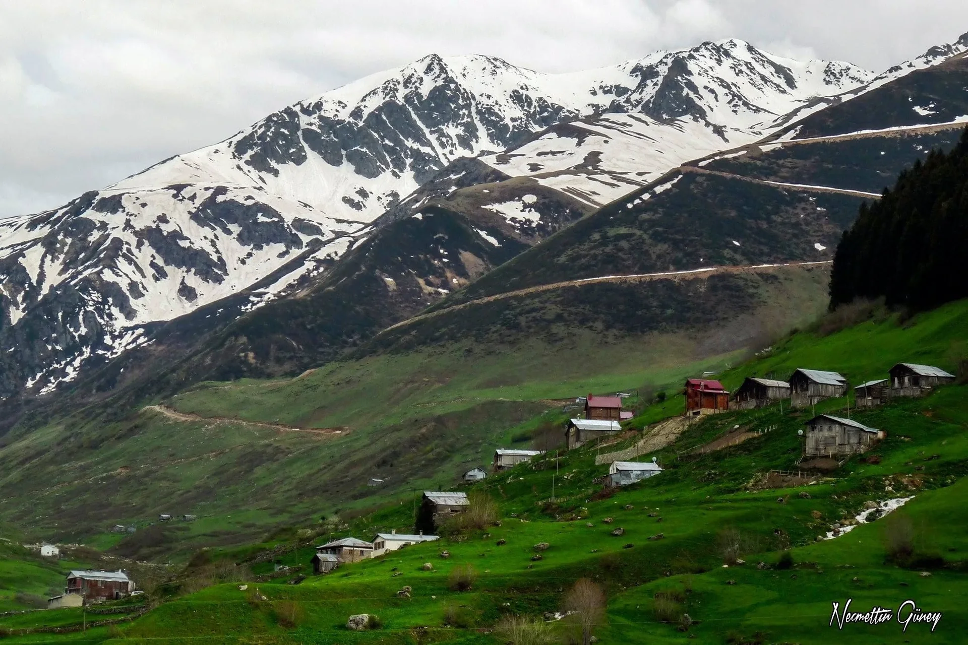Ovit Yaylası Rize fotoğrafı 3