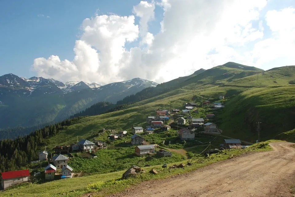 Palovit Yaylası Rize fotoğrafı 2