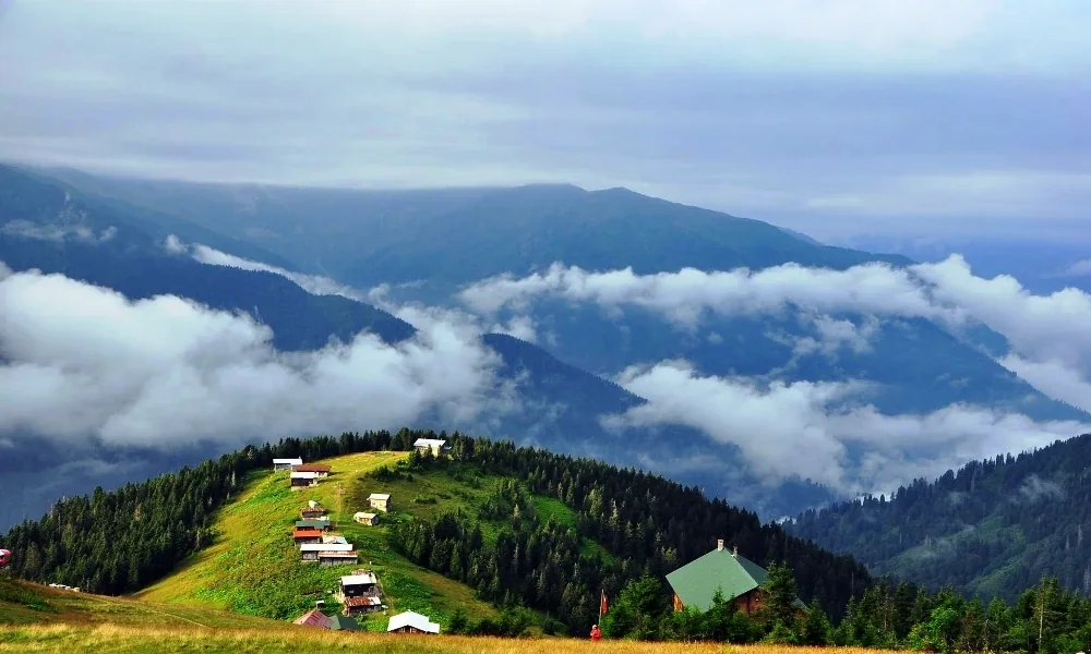 Palovit Yaylası Rize fotoğrafı 3