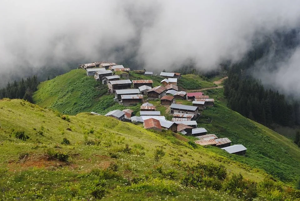 Palovit Yaylası Rize fotoğrafı 4
