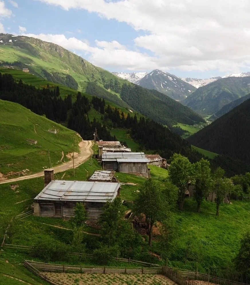 Petran Yaylası Rize fotoğrafı 2