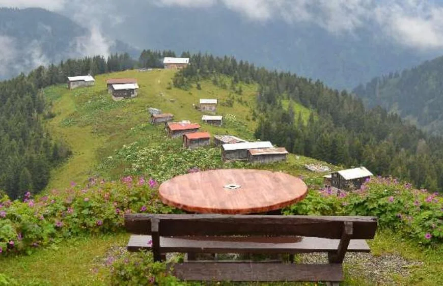 Pokut Yaylası Rize fotoğrafı 2