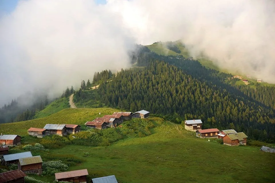 Pokut Yaylası Rize fotoğrafı 4