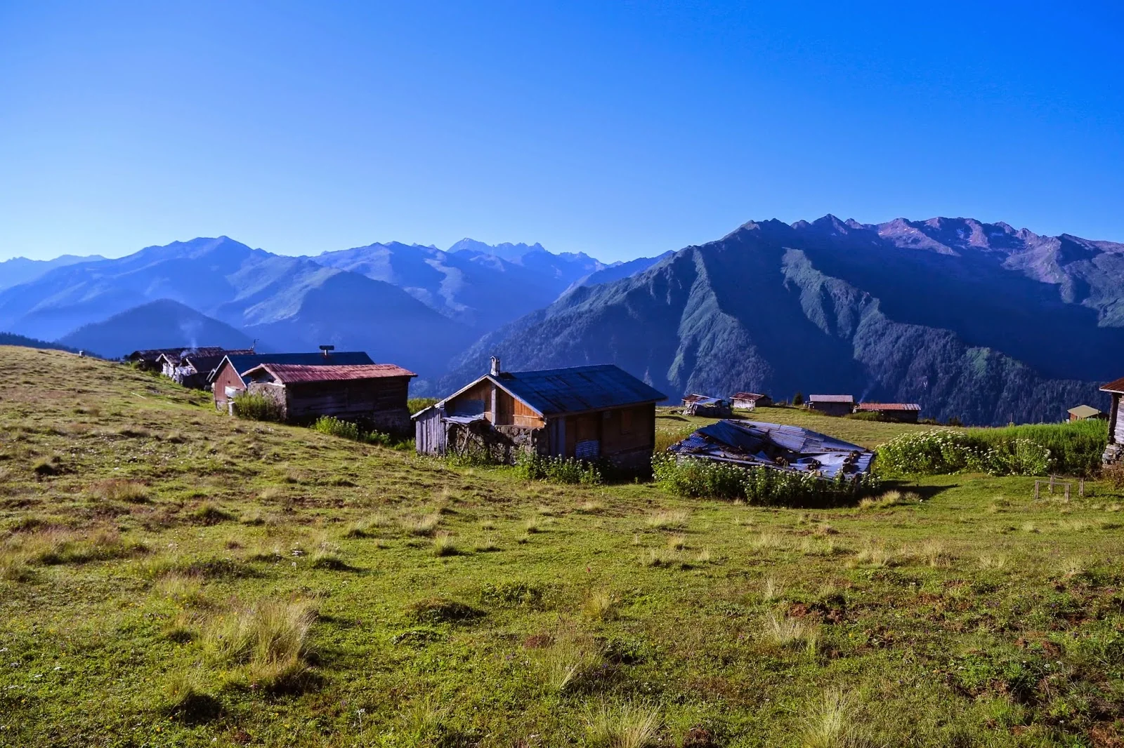 Sal Yaylası Rize yayla manzarası