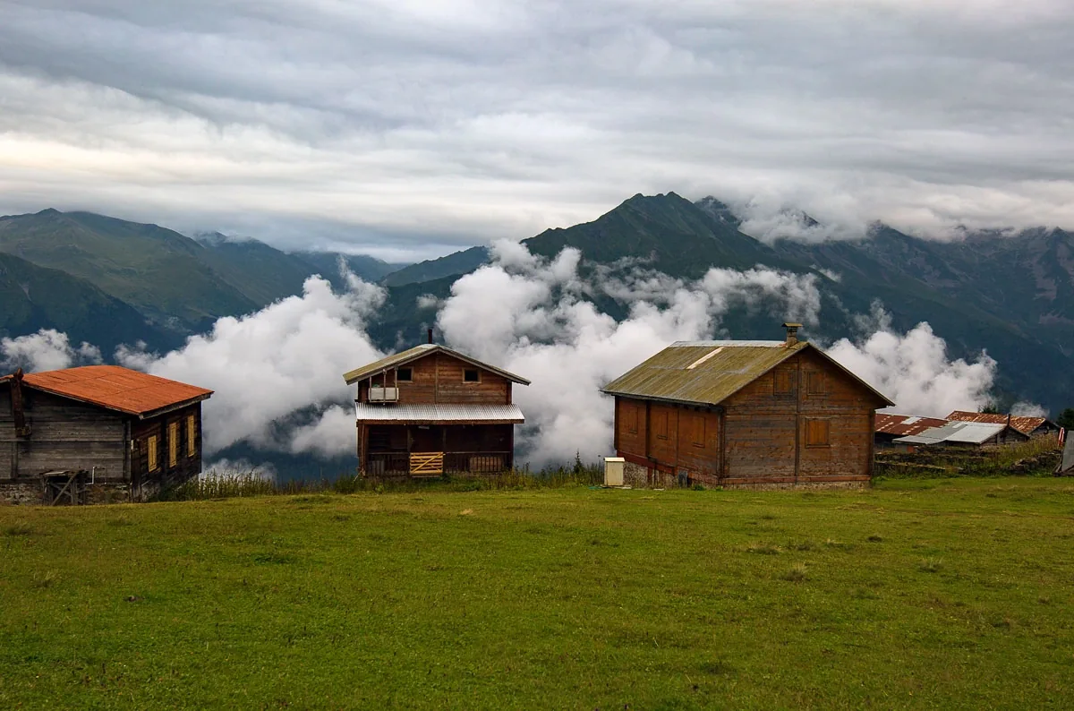 Sal Yaylası Rize fotoğrafı 2