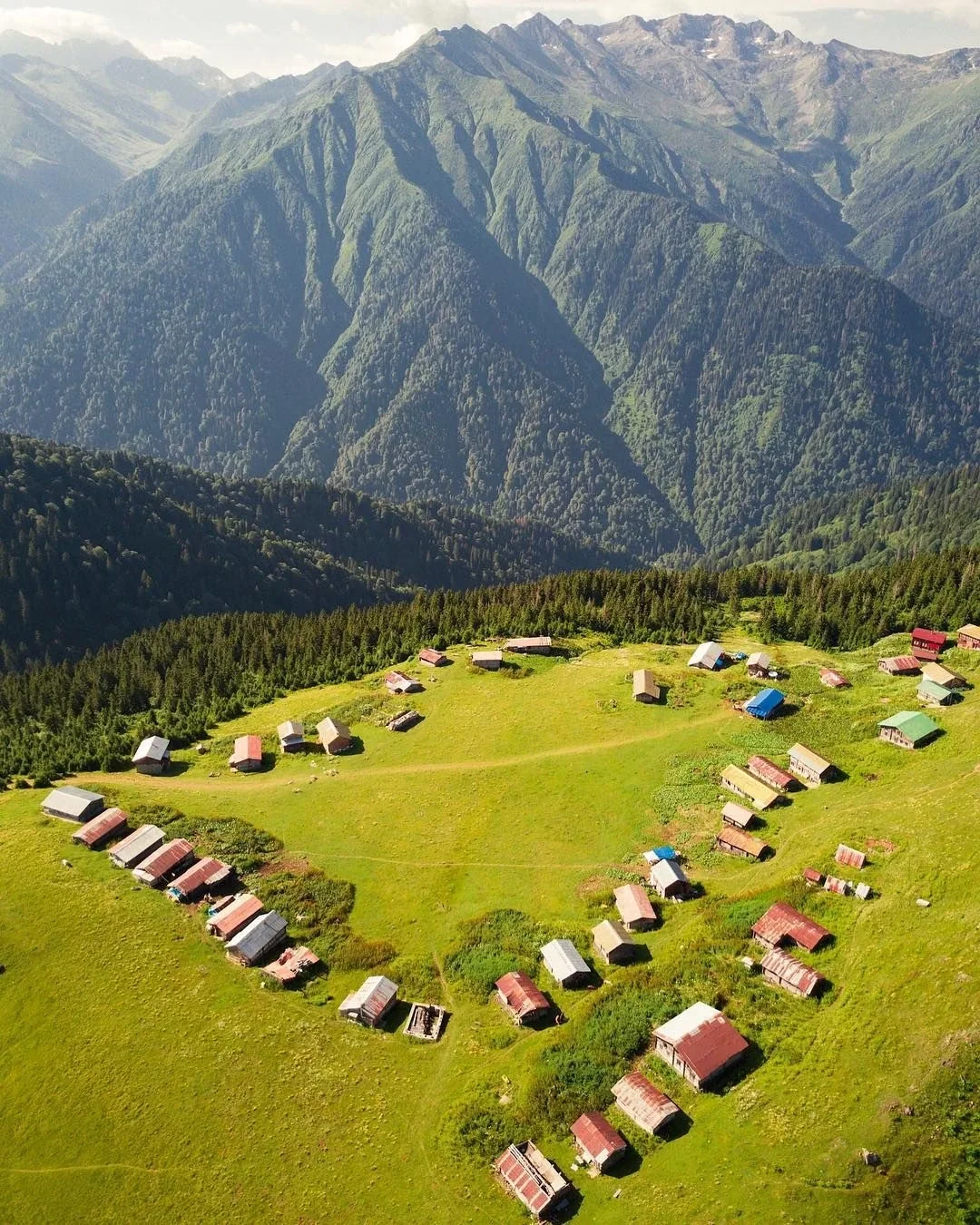 Sal Yaylası Rize fotoğrafı 3