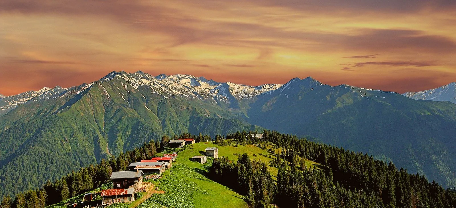 Sal Yaylası Rize fotoğrafı 4
