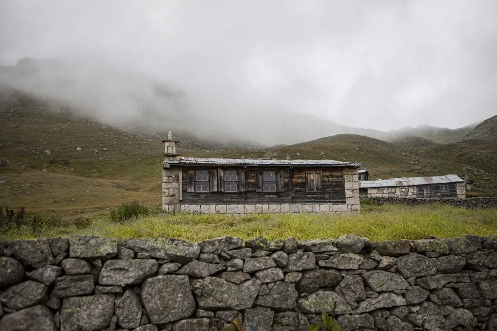 Samistal Yaylası Rize fotoğrafı 4