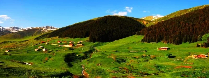 Sivrikaya Yaylası Rize yayla manzarası