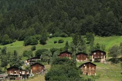 Sivrikaya Yaylası Rize fotoğrafı 4