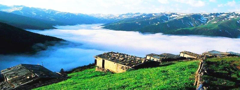 Vaşa Yaylası Rize yayla manzarası