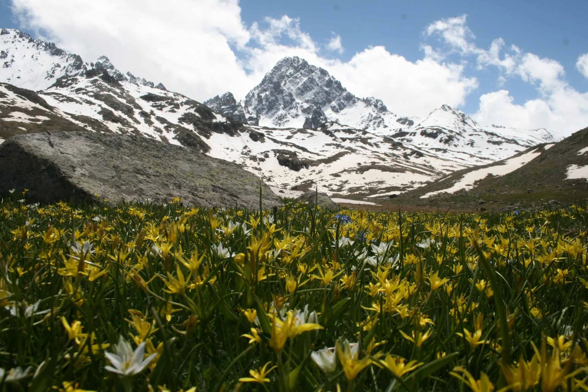 Verçenik Yaylası Rize fotoğrafı 3
