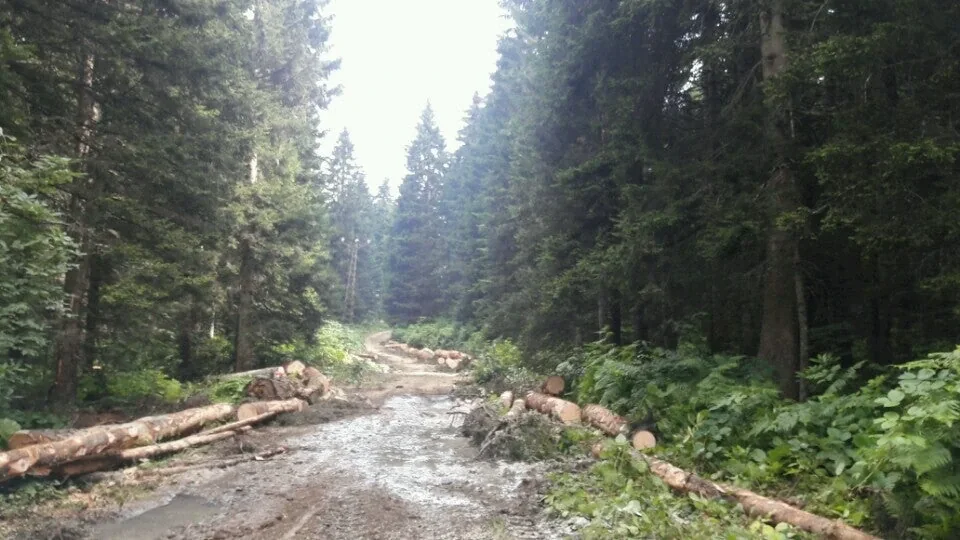 Kulindağı Yaylası Trabzon yayla manzarası
