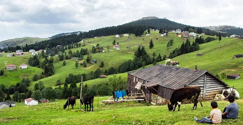 Sis Dağı Yaylası Trabzon yayla manzarası